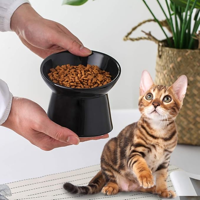 Black Small Ceramic Raised Cat Bowls, Tilted Elevated Food or Water Bowls, Stress Free, Backflow Prevention, Dishwasher and Microwave Safe, Lead & Cadmium Free