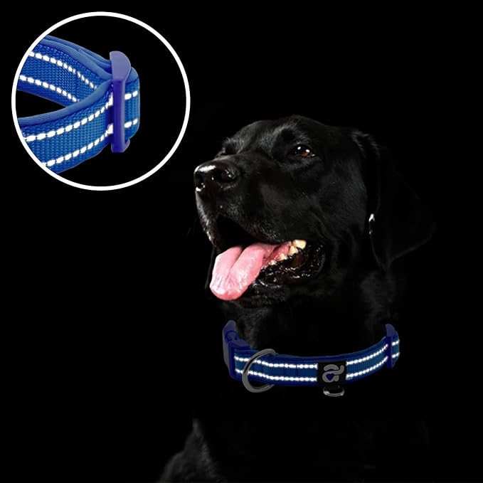 azuza Reflective Dog Collar,Soft Neoprene Padded Pet Collar with ID Tag Ring,Adjustable for Puppy and Small Dogs,Royal Blue,XS