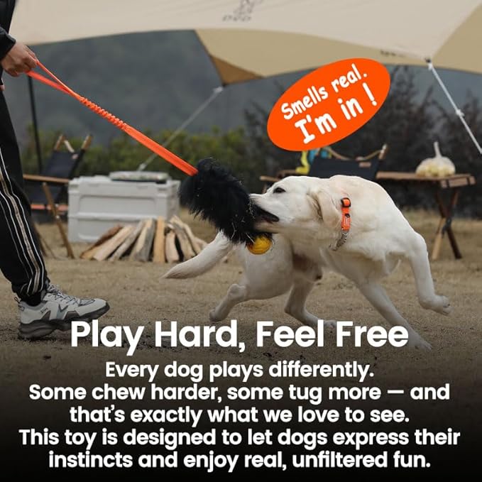 HOWGO Dog Rope Toy,Dog Bungee Chaser Toy 100% Sheepskin,Sheep Smell Tug Toy for All Breeds (Green, Long Without Ball)