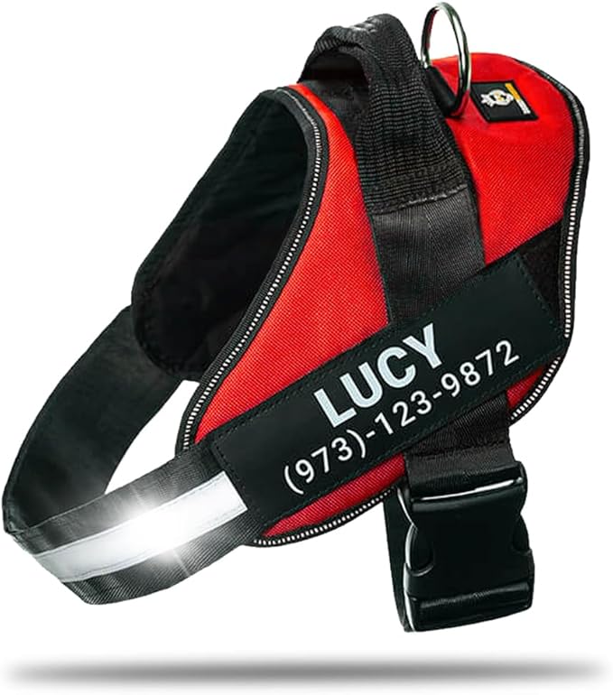 Personalized No-Pull Dog Harness with Name Patch, Adjustable, Reflective, Padded, Heavy Duty Pet Vest to Prevent Tugging, Pulling, or Choking, Training and Walking, Red, S