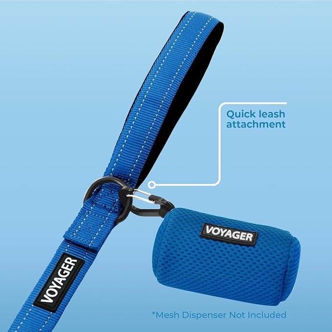 Voyager Reflective Dog Leash with Neoprene Handle, 5ft Long, Supports Small, Medium, and Large Breed Puppies, Cute and Heavy Duty for Walking, Running, and Training - Royal Blue (Leash), M (Pack of 2)