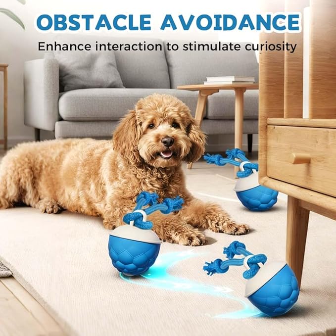 XieJY Interactive Dog Toys - 2026 Upgraded Motion Activated Automatic Rolling Ball Toys for Small/Medium/Large Dogs Balls for Boredom to Keep Them Busy with USB Rechargeable (Orange 2Pc)