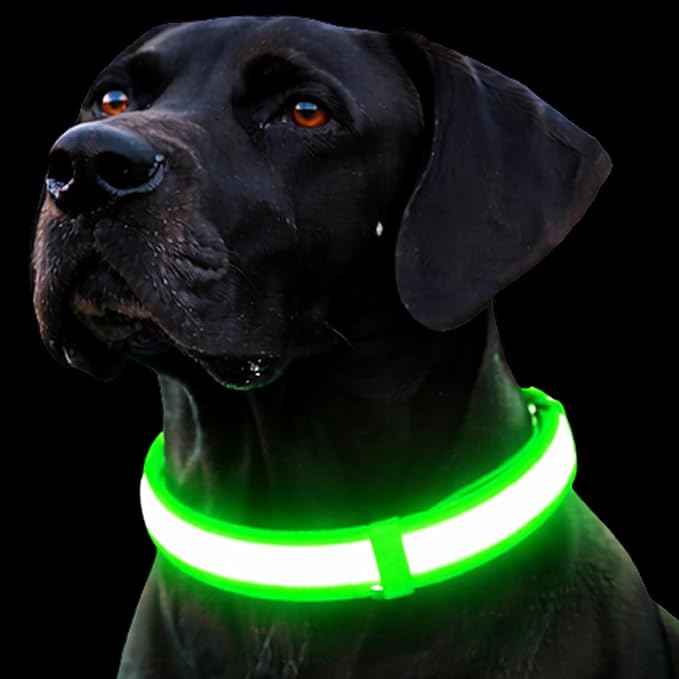 Light Up Dog Collar – Reflective, Adjustable, Rechargeable Electronic Glow Pet Collars – Bright, Comfortable, High Visibility LED Dog Collar for Night Safety, Outdoor Walk, Flashing Fun, Green, Small