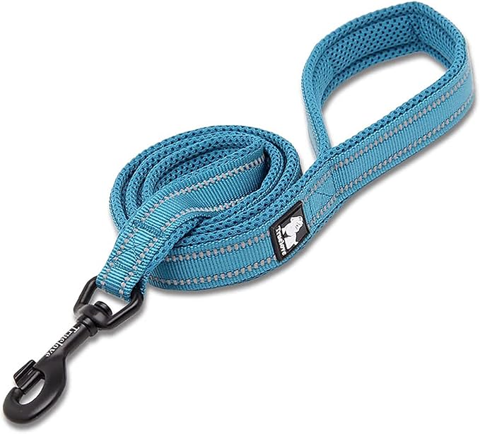 TRUE LOVE Reflective Dog Leash Puppy Walking Lead, Padded Pet Chain Rope，Length 110cm TLL2111(Blue,S)
