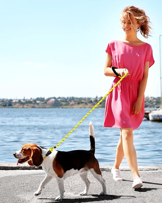 TagME Slip Leads for Dogs, 6 FT Heavy Duty Slip Leash with Padded Handle, Strong Rope No Pull Pet Training Leash for Medium Dogs,Yellow