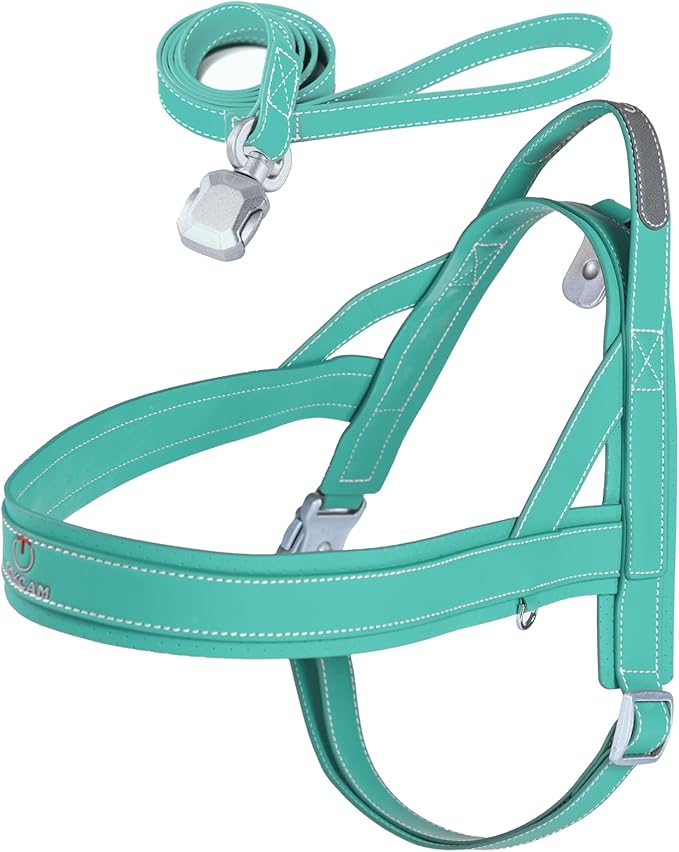 Magnetic Quick-Release Buckle Dog Harness and Leash Set, Easy Walk Faux Leather Puppy Harness, Easy On & Off Dog Vest with Handle for Medium, Large Girl Boy Dogs for Hiking Training, Teal, L
