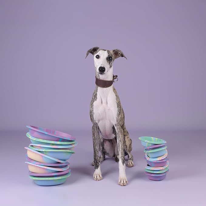 CHEWFFON Interactive Dog&Cat Lick Mat Bowls, BPA-Free Silicone Dog Slow Feeder Bowl with Suction Cups, Non Slip Food Bowl for Dogs and Cats, Reduces Boredom and Anxiety, Dishwasher Safe, Rainbow
