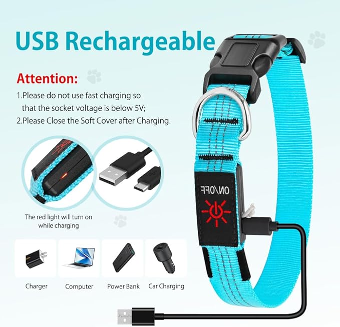 DOMIGLOW Light Up Dog Collar, USB Rechargeable LED Dog Collars Glow in The Dark, 3 Flash Mode Safety Collar Light for Nighttime Walking (Blue, L)