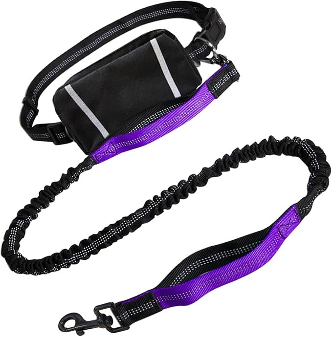 Sports Waist Bag Long Leash for Dog Multifunctional Leash Outdoor Reflective for Training Hiking Pack Running Belt