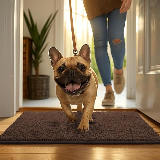 MudGuard Mat™ Dog Door Mat for Muddy Paws, Super Absorbent Microfiber, Non-Slip Indoor Mat, Quick Dry Chenille Mud Mat for Dogs & Entryway, Washable, Choco 24" x 36"