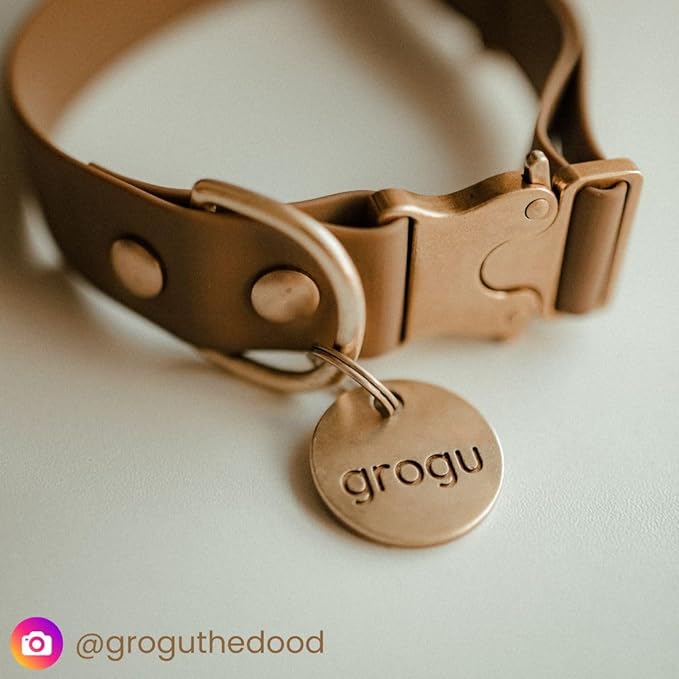 Solid Brass PET TAG - Modern, Minimal Pet IDs. Durable, Lifetime Tags with deep Cut Text. Includes Space for Two Phone Numbers. (House)