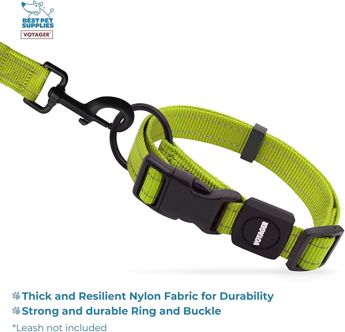 Best Pet Supplies Voyager Reflective Dog Leash or Collar with Neoprene Handle, for Small, Medium, and Large Breed Puppies, Cute and Heavy Duty for Walking, Running and Training - Lime Green, L