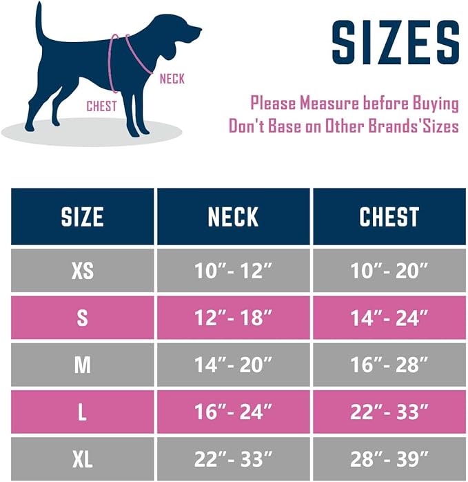 PHOEPET 2019 Upgraded No Pull Dog Harness, Reflective Adjustable Vest, with a Training Handle + 2 Metal Leash Hooks+ 3 Snap Buckles +4 Slide Buckles(S, Purple)