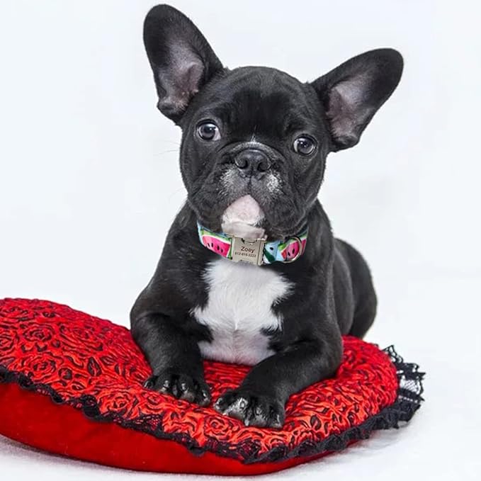 Personalized Dog Collars for Puppy Small Medium Large Pets with Engraved Name and Phone Number (S, Watermelon)