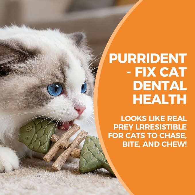 DXHBALK Eazywell Purrident Cat Dental Chew Toy for Teeth Cleaning, with Seaweed Catnip Silvervine, Natural Wooden Creative Fish Bone Shape Chew Stick for Cats (3 Pcs)