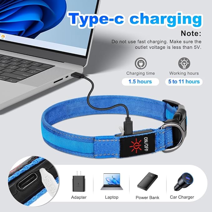 Dolitego LED Dog Collar USB Rechargeable - Light Up Dog Collar Safety Pet Collars with Lights for Night Walking (Blue, L)
