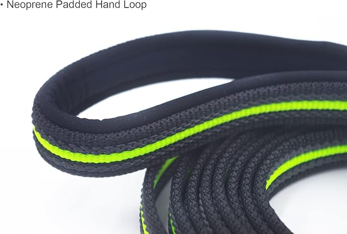 Long Dog Training Leash Dog Lead with Special Non-Slip Design and Padded Handle, 10/15/33/50 ft, for Any Size of Dogs