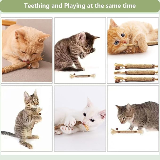 RELONGGI 5 PCS Silvervine Sticks for Cats - Natural Cat Chew Toys for Teeth Cleaning, Kitten Teething & Aggressive Chewers