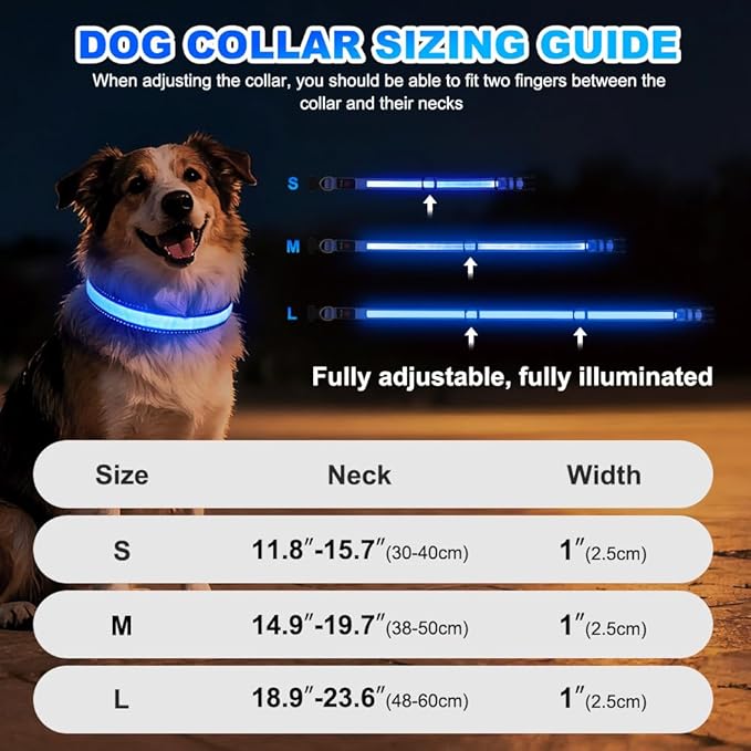 Dolitego LED Dog Collar USB Rechargeable - Light Up Dog Collar Safety Pet Collars with Lights for Night Walking (Blue, L)