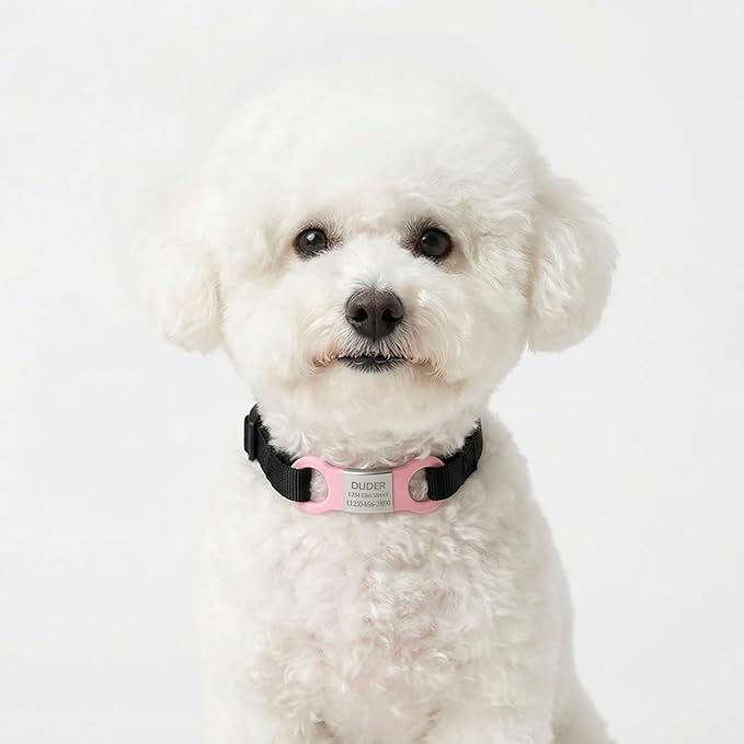 Silent Pet ID Tag - Personalized Engraved Slide-On Dog & Cat Name Tags, Quiet No-Jingle Stainless Steel Collar Tag with Laser Engraving (Metal Silvery+Pink, XL(for 0.98" Wide Collar))