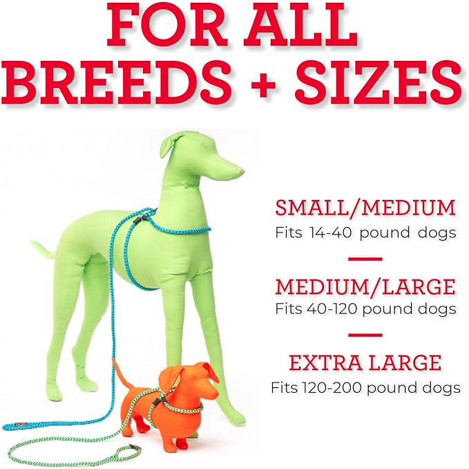 Harness Lead No Pull Dog Harness and Leash Set, Anti Pull Dog Harness for All Breeds and Sizes, One-Piece Cushioned Rope Design Safely Prevents Escaping and Pulling (Medium/Large, Blue/Multi)