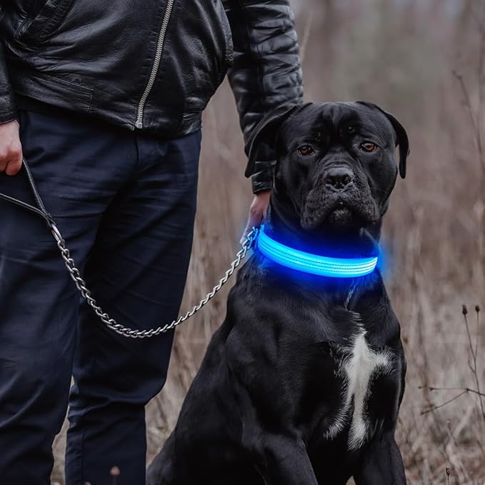 DOMIGLOW Light Up Dog Collar, USB Rechargeable LED Dog Collars Glow in The Dark, 3 Flash Mode Safety Collar Light for Nighttime Walking (Blue, L)