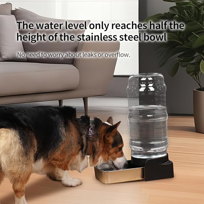 PAKEWAY 1 Gallon / 3.8L Automatic Gravity Dog Water Bowl Dispenser, Stainless Steel Large Capacity Pet Waterer with 3 Filters for Small to Medium Dogs and Cats