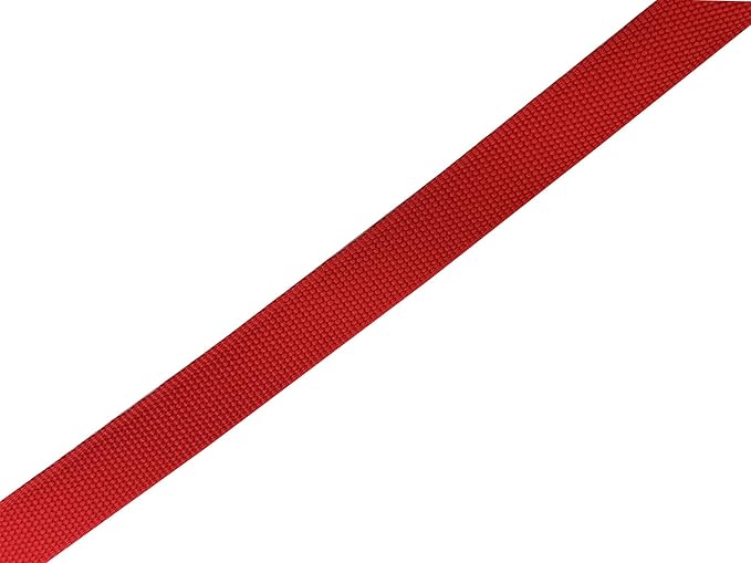 Nylon Dog Leash 16 Feet Long, Walking Training Dog Leashes for Medium Large Dogs（1" X 16 ft，Red）