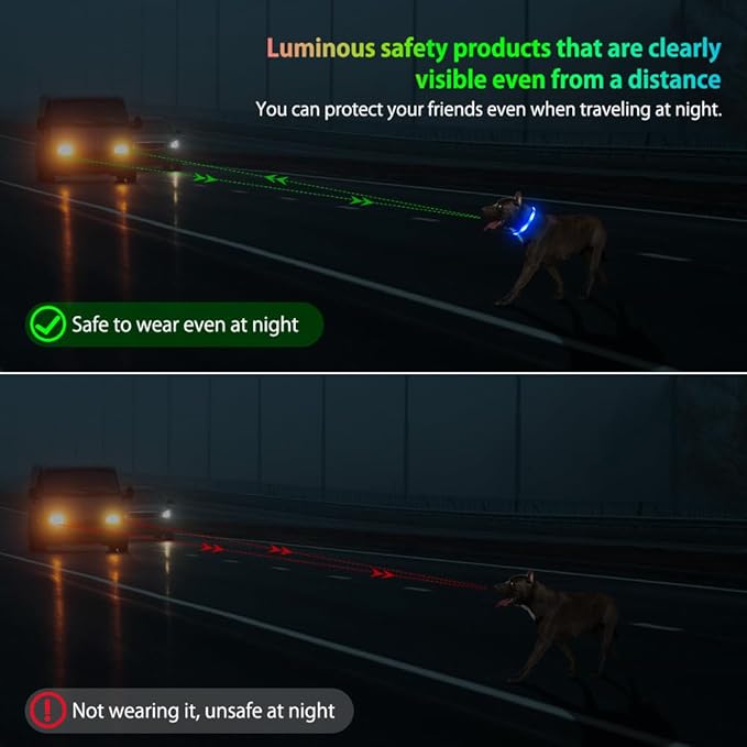 Illumifun LED Dog Collar, USB Rechargeable Light Up Collar Glow in The Dark, Reflcetive Safery Pet Light for Large Dogs Walking at Night (Large, Light Blue)
