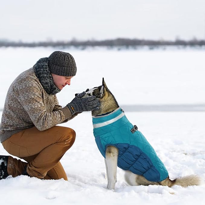 Dog Jackets for Medium Dogs,Medium Dog Coat,Warm Pet Winter Coat Zip Up Back,Waterproof Dogs Jacket with D-Ring,Pet Cold Weather Coats with Fleece Lined, Snowsuit Pug Boston Terrier,M