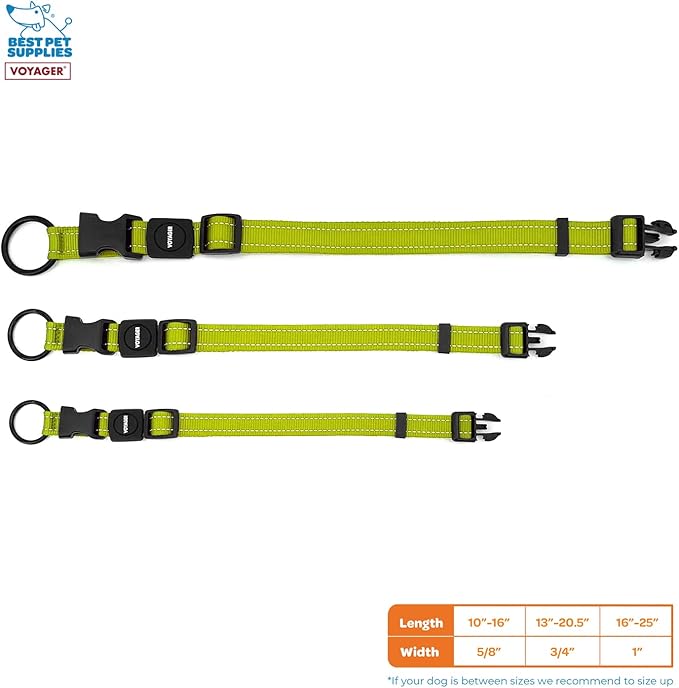 Best Pet Supplies Voyager Reflective Dog Leash or Collar with Neoprene Handle, for Small, Medium, and Large Breed Puppies, Cute and Heavy Duty for Walking, Running and Training - Lime Green, S
