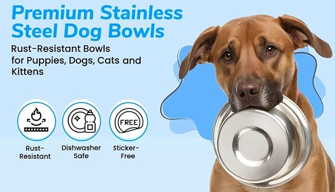 Greendale - 2 Pack - 6.75 Cup Capacity - Stainless Steel Metal Dog Bowls - Perfect for Dog Food and Water. Wrong Size? Click to Look at Our Size Options.