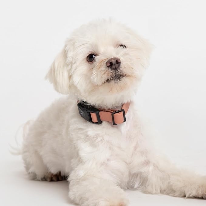 2025 New Edition, Fei & Eve PVC MagEase Dog Collar - Patented Magnetic Buckles | Quick-Release | 450LB Escape-Proof | Fur-Safe | Adjustable Fit | Large Blush