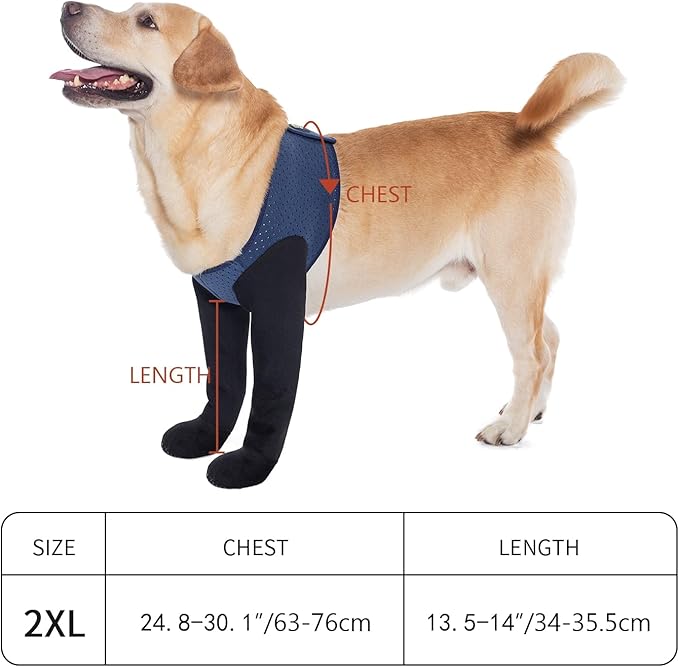 COODEO Dog Socks & Paw Protectors - Front Paws Only, Non-Slip Waterproof Dog Boots to Prevent Paw Licking, Protect Wounds & Aids Post-Surgery Recovery (Blue, 2XL)