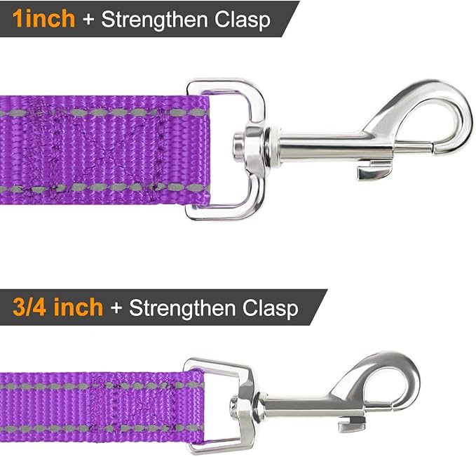 Joytale Dog Leash, 6 FT Double-Sided Reflective, Padded Handle Nylon Heavy Duty Leashes for Small & Medium Dogs Walking, Purple
