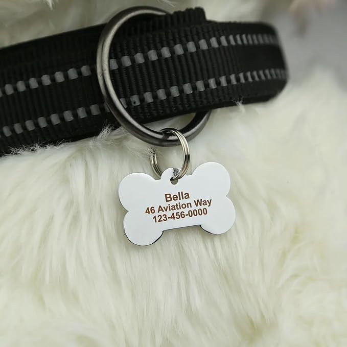 Personalized Dog Cute Paw Pet ID Tag for Pet Collar or Key Chain - cat Name tag, Personalized cat id tag, Kitten Name tag, Kitten id tag (Bone-Shaped-Small: Ocean Blue)