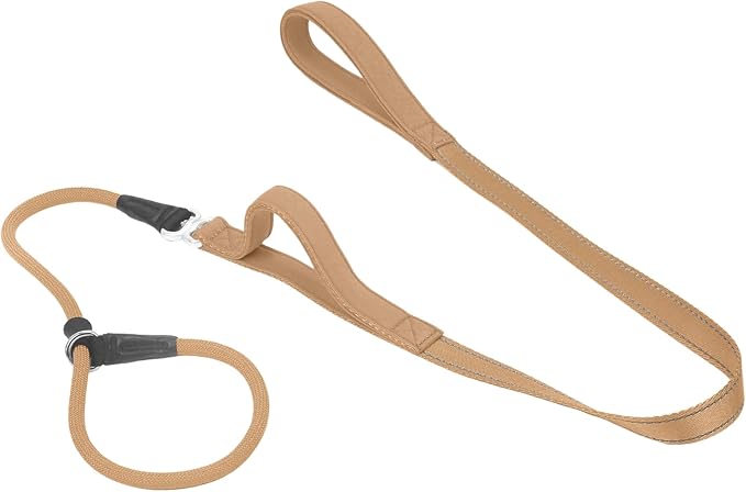 Slip Lead Dog Leash with Double Handle, Reflective Dog Training Leash [360° Swivel Anti-Tangle] Heavy Duty Nylon Slip Lead and Collar for Medium Large Small Dog No Pull Walk 5FT Khaki