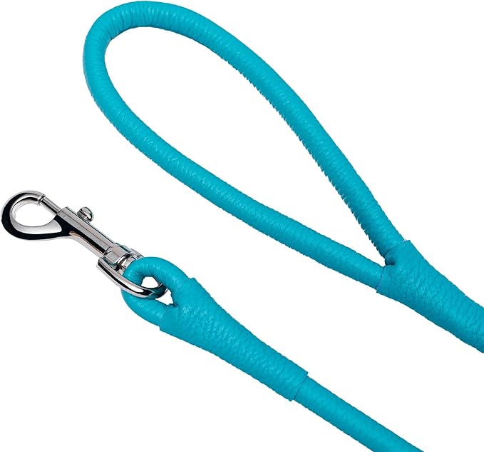OOPSDOGGY Rolled Leather Dog Lead 6ft Heavy Duty Training Leash for Small Medium Large Dogs & Puppy Black Brown Red (Blue, Large)