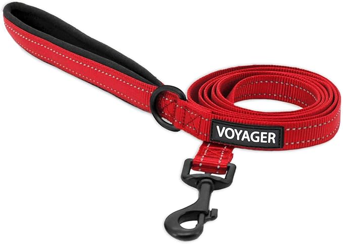 Best Pet Supplies Voyager Reflective Dog Leash or Collar with Neoprene Handle, for Small, Medium, and Large Breed Puppies, Cute and Heavy Duty for Walking, Running and Training - Red (Leash), M