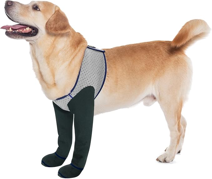 COODEO Dog Socks & Paw Protectors - Front Paws Only, Non-Slip Waterproof Dog Boots to Prevent Paw Licking, Protect Wounds & Aids Post-Surgery Recovery (Grey, XL)