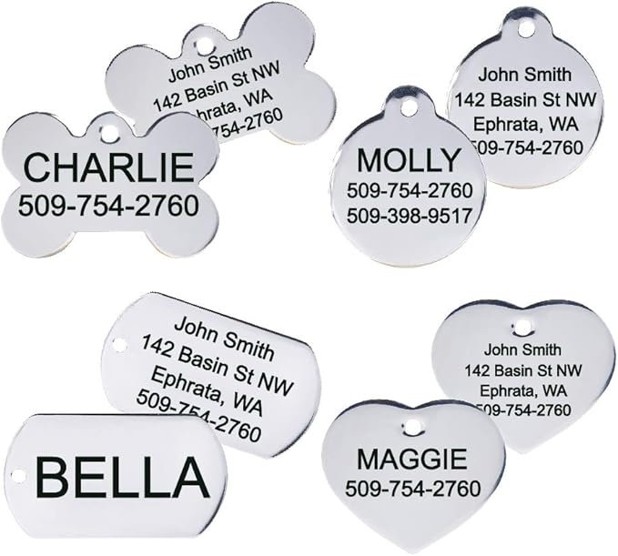 GoTags Personalized Dog Tags in Stainless Steel, Includes Glow in The Dark Tag Silencer to Reduce Noise and Protect Tag and Engraving, No Noise, Quiet Pet Tags, 2 Side Engraving, (Rectangle Shape)