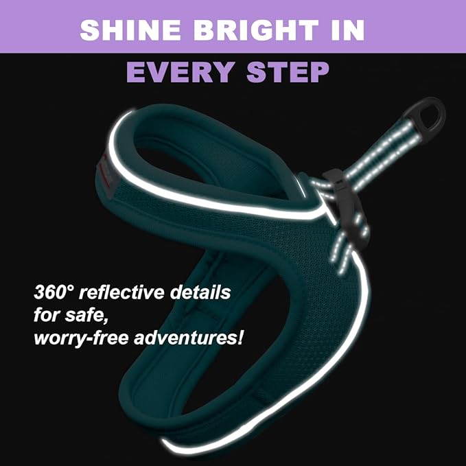 Cat Harness and Leash Set,Escape Proof Kitten Harness,Step in Adjustable Soft Lightweight,Easy Control,Reflective Strips Comfortable for Walking Travel(Ocean Blue,S)