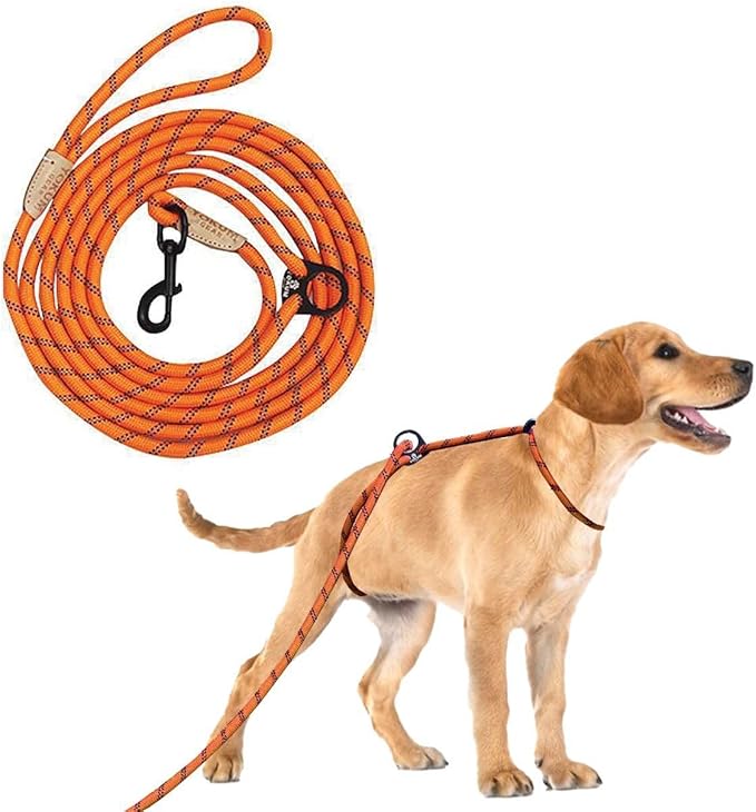 12ft No Pull No Choke Leash Long Rope Dog Leash, Anti Pulling, Dog Leads for Walking, Double Hook & Escape Proof for All Breeds, Reflective Orange
