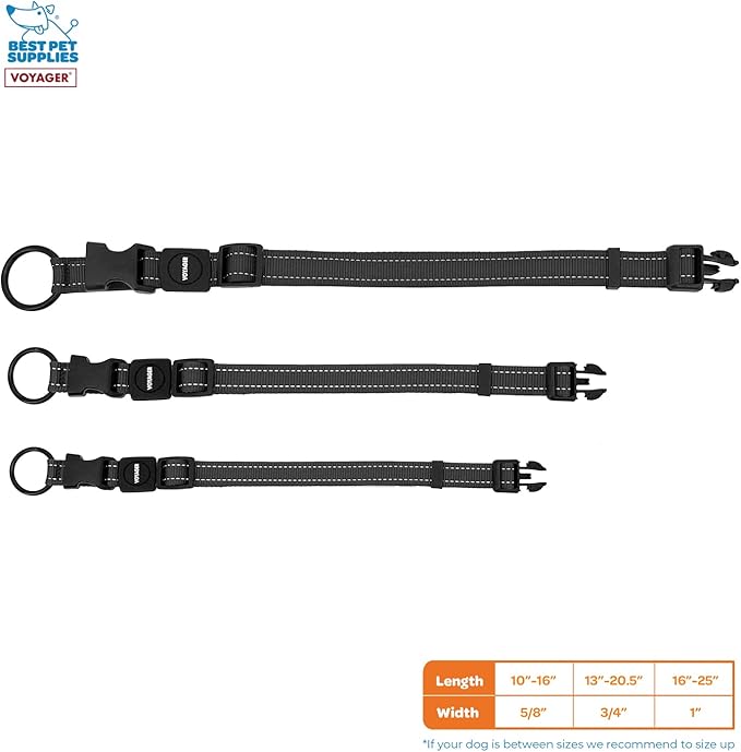 Best Pet Supplies Voyager Reflective Dog Leash or Collar with Neoprene Handle, for Small, Medium, and Large Breed Puppies, Cute and Heavy Duty for Walking, Running and Training - Black, M
