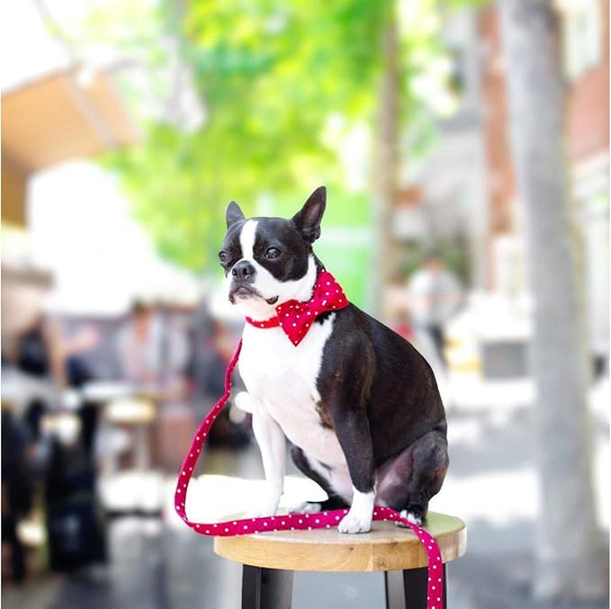 Unique style paws Cotton Dog Collar with Bow Puppy Collar with Red White Round Dot for Small Medium Large Boys Girls Dogs