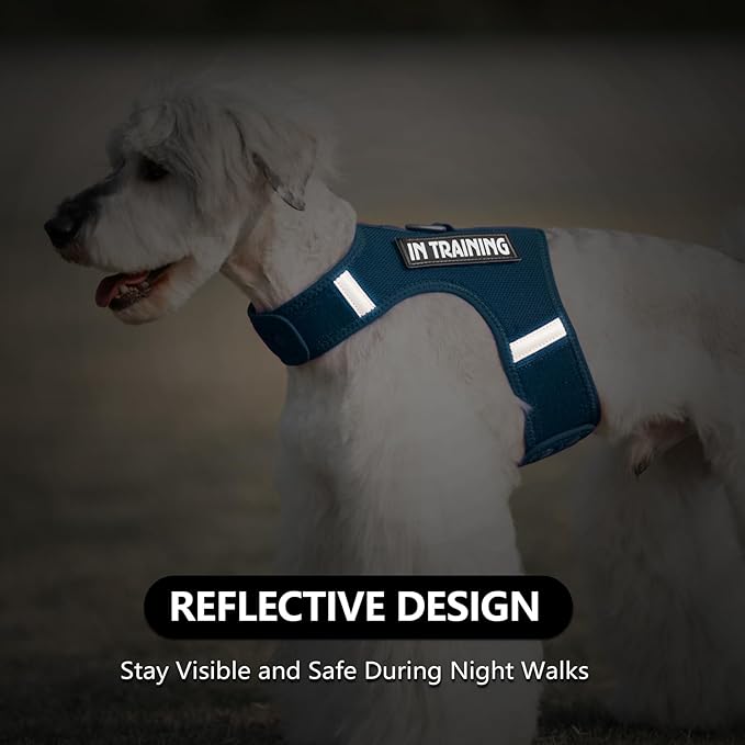 Dog Harness for Puppy – Adjustable Reflective Easy Put On Soft Mesh Vest for Small Dogs with 2 Patches (Prussian Blue,XXS)