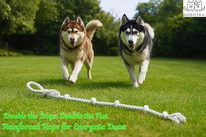 GOGOTAIL Heavy-Duty 51" White Cotton Rope Dog Toy – 6-Knot Tug & Dental Chew with Loop – Durable, Washable, Natural & Safe for Medium & Large Dogs – Indoor & Outdoor Play