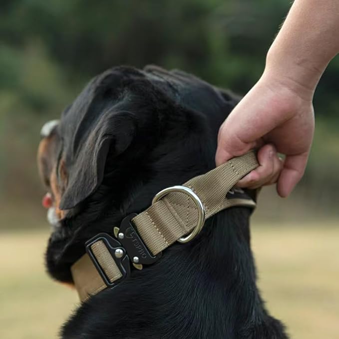 TSPRO Premium Dog Collars Tactical Dog Collar with Handle and Heavy Duty Quick-Release Metal Buckle Durable Thick and Adjustable for Medium to Large Dogs (Black M)