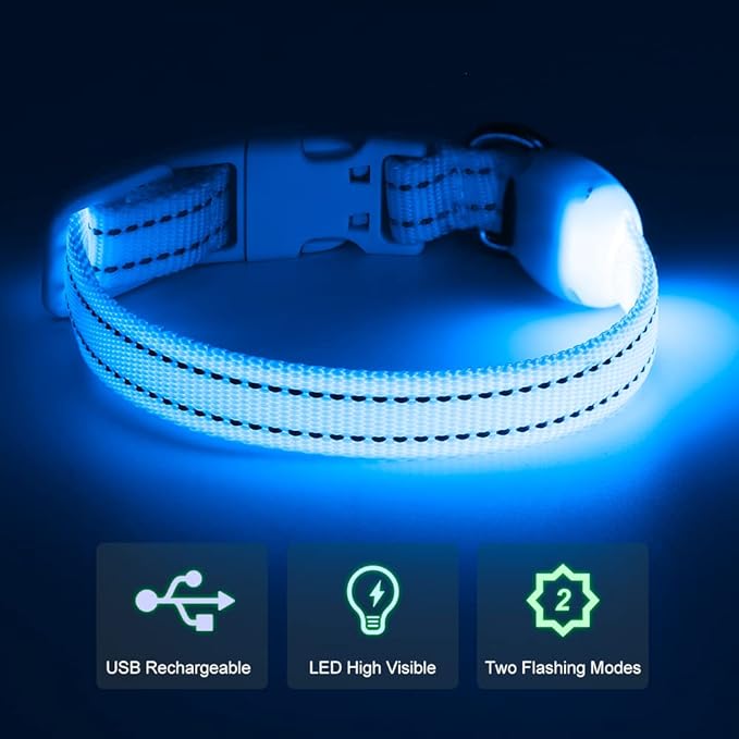 Light Up Dog Collar - Rechargeable Puppy Collar Glow in The Dark LED Dog Collar Lights for Small Dogs & Cats (X-Small, Blue)