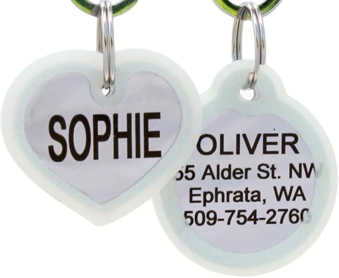 GoTags Personalized Dog Tags in Stainless Steel, Includes Glow in The Dark Tag Silencer to Reduce Noise and Protect Tag and Engraving, No Noise, Quiet Pet Tags, 2 Side Engraving, (Rectangle Shape)